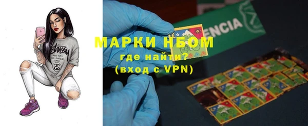 гидра Абаза