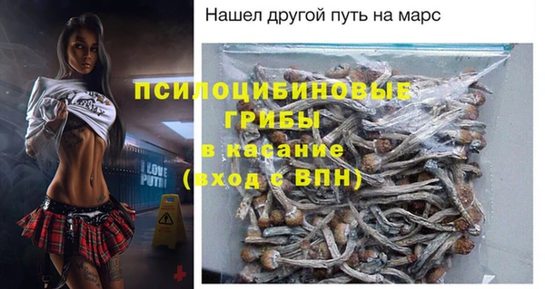 гидра Абаза