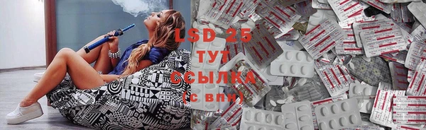 ПСИЛОЦИБИНОВЫЕ ГРИБЫ Гусев