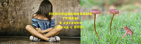 сатива Алексин
