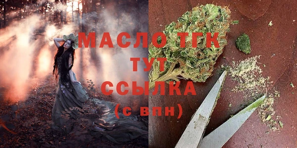 гидра Абаза
