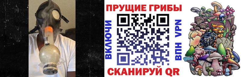 hydra зеркало  Братск  Галлюциногенные грибы мицелий 
