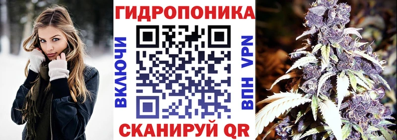 купить цена Братск OMG ССЫЛКА МАРИХУАНА THC 21%